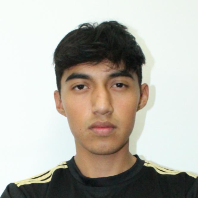 User Image