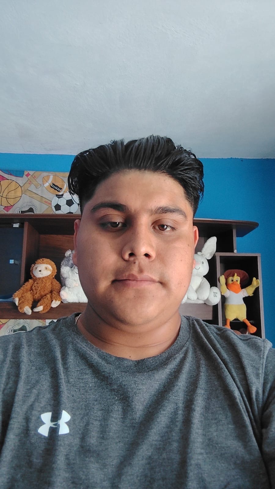 User Image