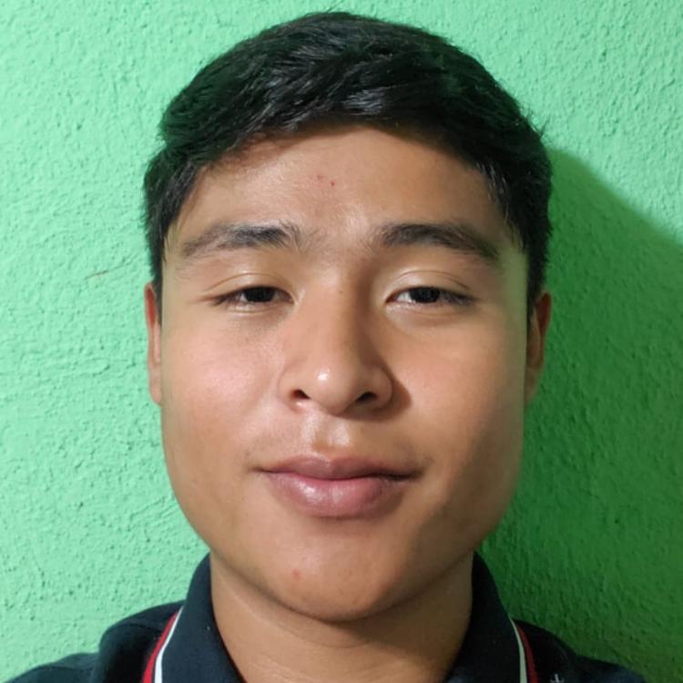 User Image
