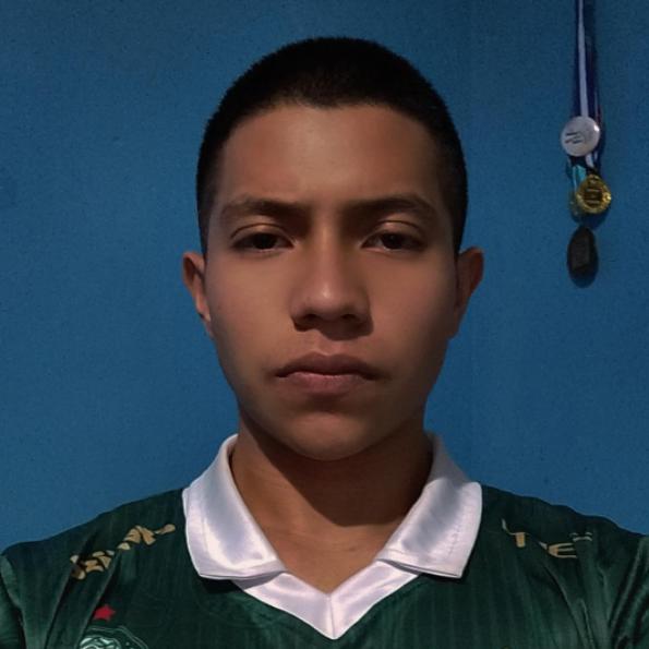 User Image